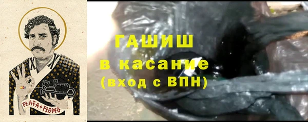 стаф Алексин