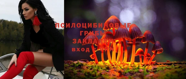 стаф Алексин