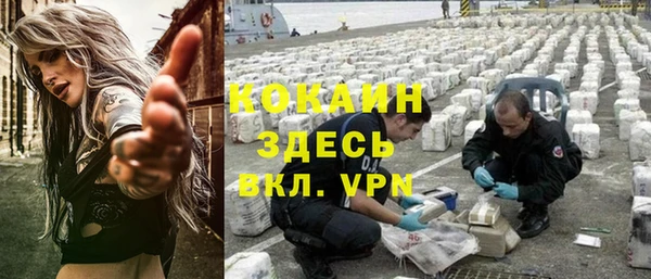 стаф Алексин