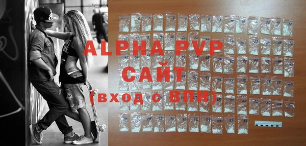 стаф Алексин