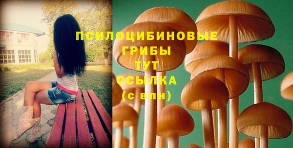 стафф Алексеевка