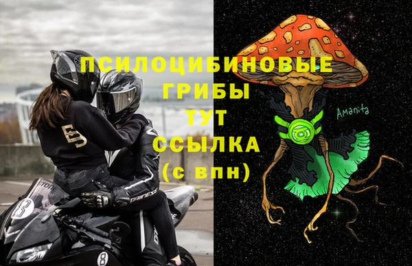 стаф Алексин