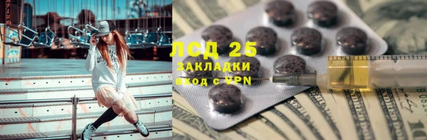 стаф Алексин