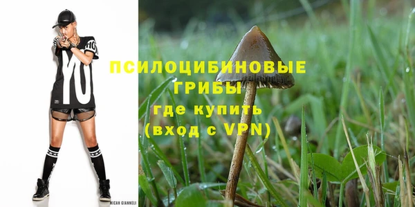стафф Алексеевка